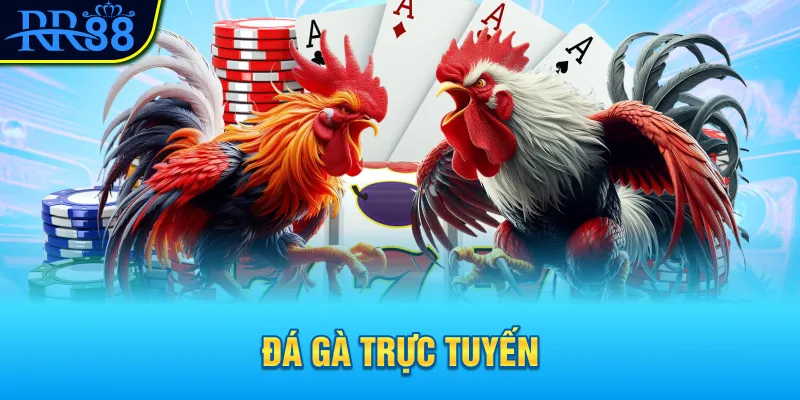 Đá gà trực tuyến