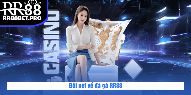 Đôi nét về đá gà RR88