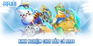 Kinh nghiệm chơi bắn cá rr88