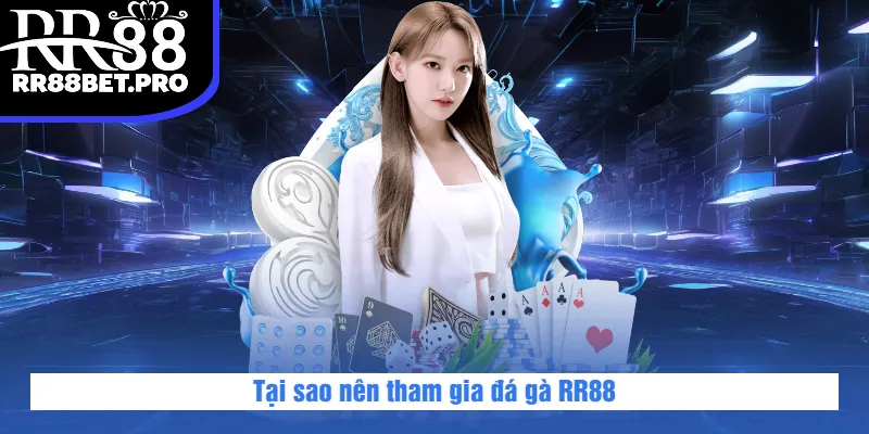 Tại sao nên tham gia đá gà RR88